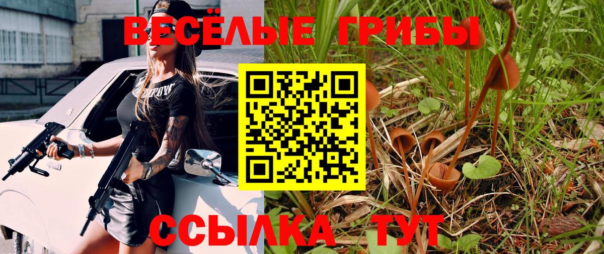 Псилоцибиновые грибы GOLDEN TEACHER  Вход с VPN  Галлюциногенные грибы Psilocybine cubensis  Карабулак 